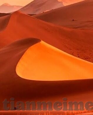 麻豆传媒网站免费入口-理解边界，谨慎对待网络信息的探索